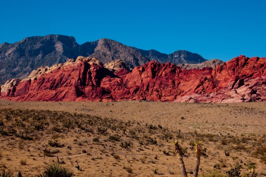 Red Rock Canyon, about 30 minutes from North Vegas.