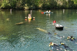 Homosassa Springs
