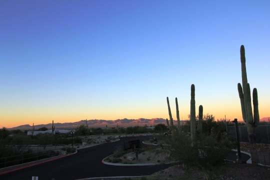 Tucson! Pretty scenery. Great friends live there. And because saguaro and sunshine make me smile.