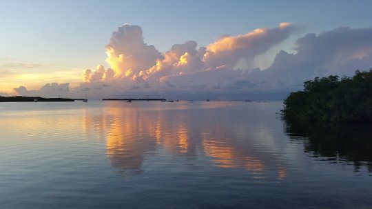 12255190_10153694403723416_931384059_o