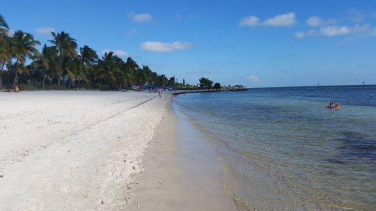 12287542_10153712047293416_155359191_o