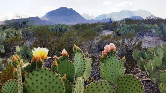 Gorgeous vista; (c) RVLuckyOrWhat.com