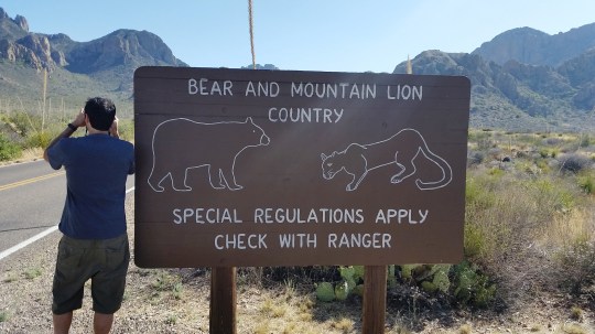 Big Bend Bear and Mountain Lion Country Sign; (c) RVLuckyOrWhat.com