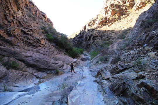 (c) RVLuckyOrWhat.com